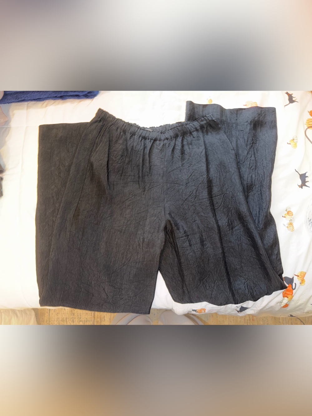 JCREW Silk Work Pants